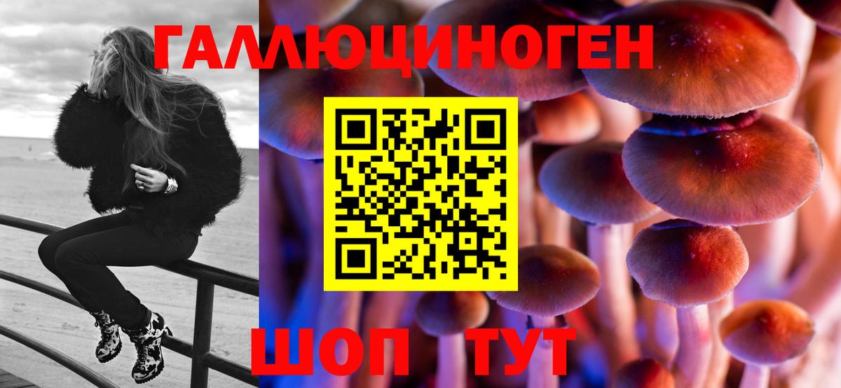 Галлюциногенные грибы Psilocybine cubensis Лысьва