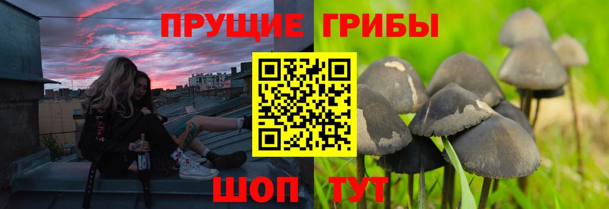 Псилоцибиновые грибы мухоморы  Вход с VPN  Лысьва  Псилоцибиновые грибы мухоморы 